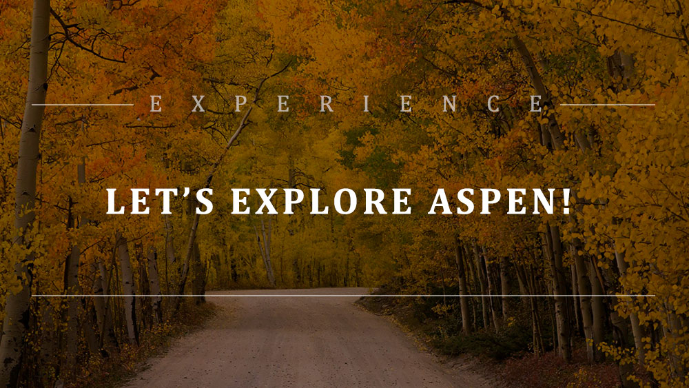 Experience: Aspen